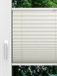 LYSEL HOME Plissee 219A Aralia BO Fensteransicht