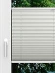 LYSEL HOME Plissee 201A Aralia BO Fensteransicht
