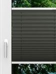 LYSEL HOME Plissee 202A Aralia BO Fensteransicht