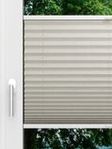 LYSEL HOME Plissee 224A Betula BO Fensteransicht