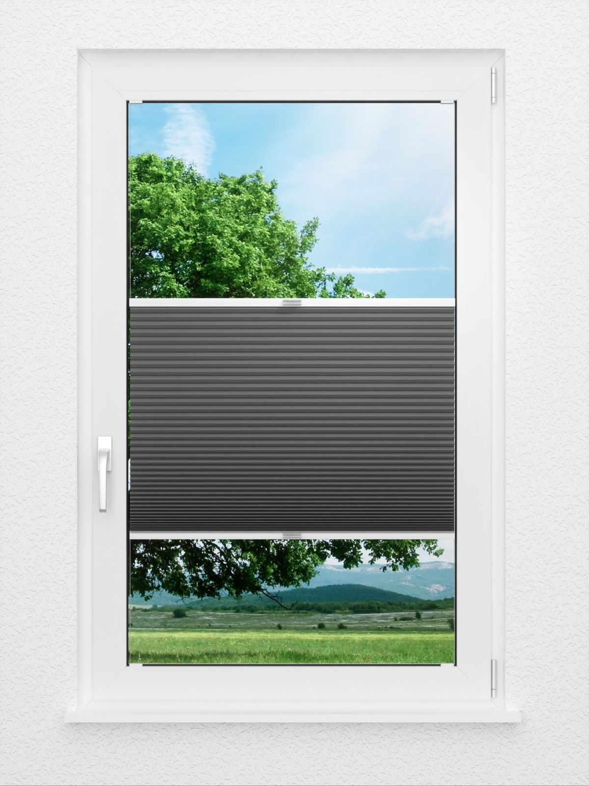 Detailansicht Simple Comb SC 7101.3611